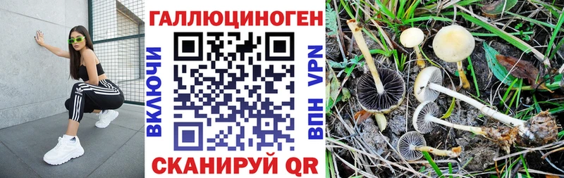 Купить закладки  Рославль  Псилоцибиновые грибы мухоморы 